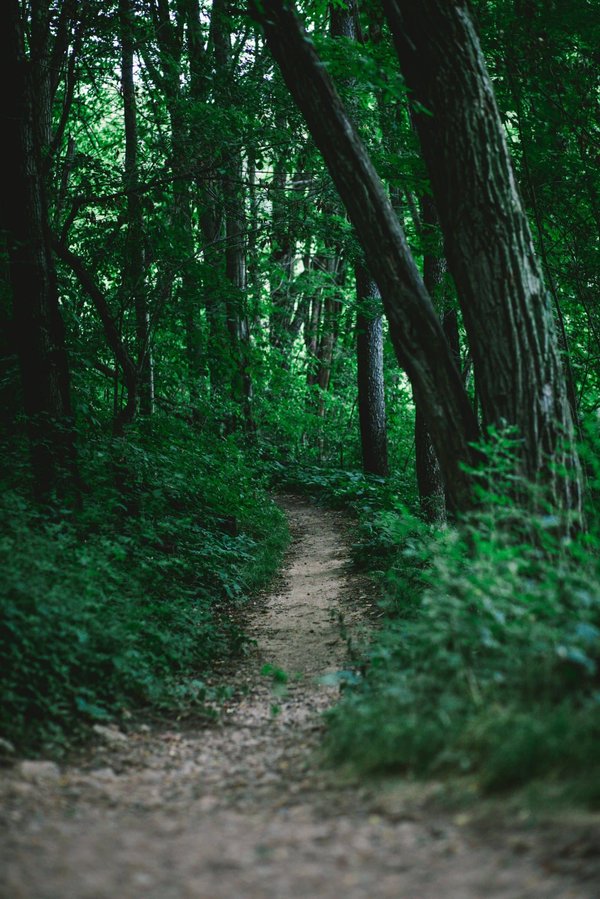Où trouver les plus beaux sentiers de randonnée pour découvrir les lacs alpins en Italie?